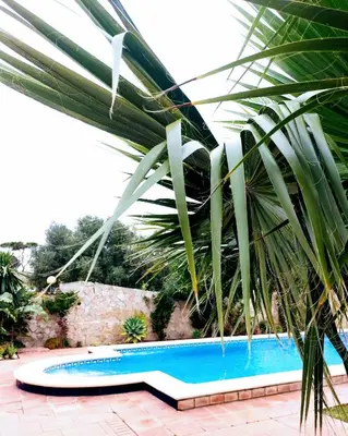 a palm tree next to a swimming pool at Villa Lola 14 in Chiclana de la Frontera