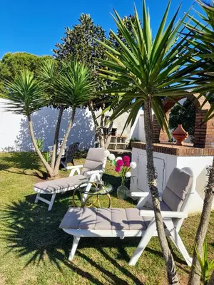 a yard with two chairs and palm trees at Villa Lola 14 in Chiclana de la Frontera