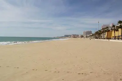 a sandy beach with palm trees and the ocean at MyChoice Dadim in Rota
