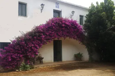 a building with purple flowers on the side of it at Casa de campo - Cortijo El Palomar in Alcántara