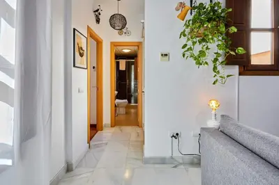 a hallway of a home with white walls and a plant at Apartamento Obispo centro Jerez de la Frontera in Jerez de la Frontera
