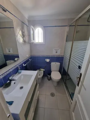 a bathroom with a sink and a toilet and a shower at Victoria Costa Sancti Petri in Novo Sancti Petri