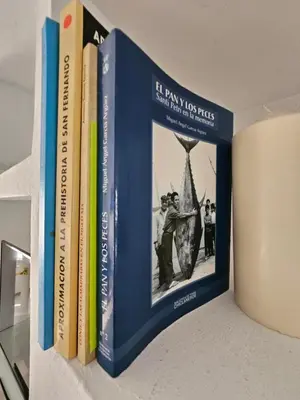 a group of books sitting on a shelf at Victoria Costa Sancti Petri in Novo Sancti Petri