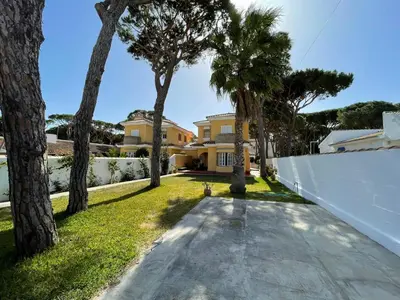 a driveway in front of a house with palm trees at Chalet Violeta in Chiclana de la Frontera