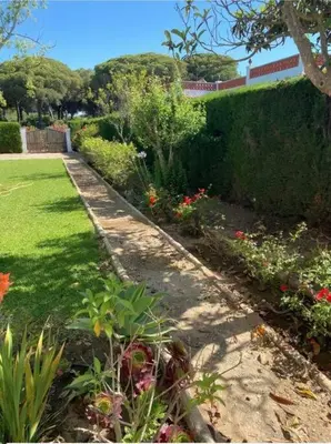 a garden with a hedge and flowers in a yard at Tierra del Sur in Conil de la Frontera