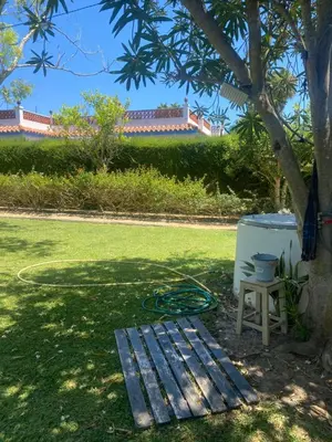 a garden with a wooden bench next to a tree at Tierra del Sur in Conil de la Frontera