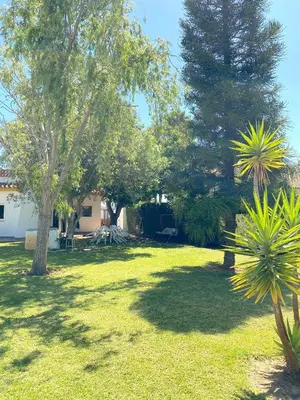 a yard with two trees and a house at Tierra del Sur in Conil de la Frontera
