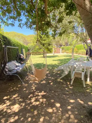 a table and chairs sitting under a tree at Tierra del Sur in Conil de la Frontera
