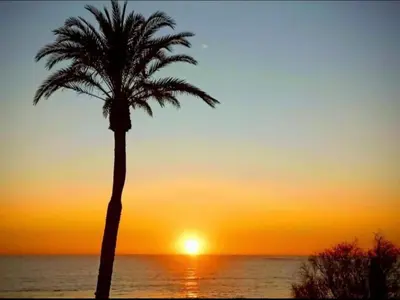 a palm tree in front of a sunset at Casita de la coquina in Chiclana de la Frontera