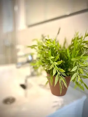 a potted plant sitting on a counter in a bathroom at MyChoice Diana in Rota