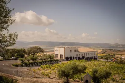 a view of a building with trees and a road at Hotel Bodegas Campestral in Arcos de la Frontera