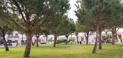a row of trees in a park in front of a building at Appartement à 850 m de la plage de la Barrosa in Chiclana de la Frontera