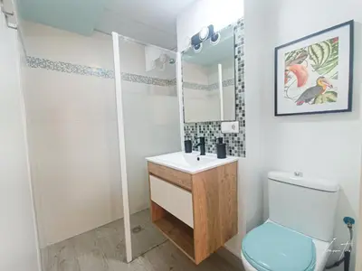 a bathroom with a toilet and a sink and a mirror at Puerto Sherry Boat in El Puerto de Santa María