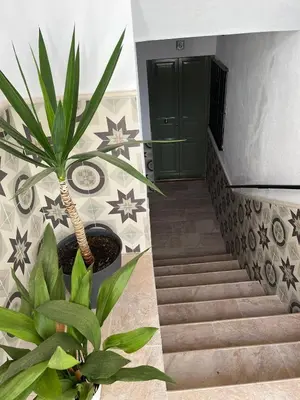 a stairway with a green door and a plant at Casa Vladimir in Arcos de la Frontera