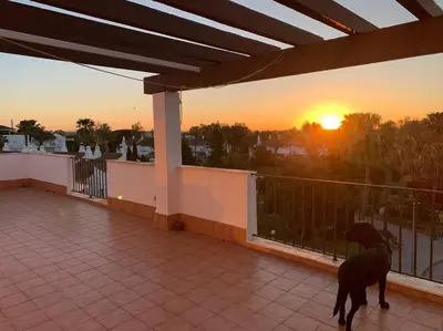 a dog standing on a balcony watching the sunset at Ático Costa Ballena - Cádiz in Rota