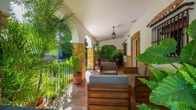 a courtyard with plants in a house at Villa Las Carmenes Conil de la Frontera by Ruralidays in Conil de la Frontera
