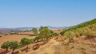 an aerial view of a field with trees on a hill at Cortijo de Liche Arcos de la Frontera by Ruralidays in Arcos de la Frontera