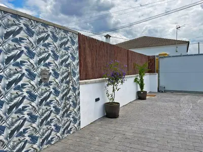 a blue and white wall with two potted plants on it at Apartamento Klandestina - Ole Solutions in Cádiz