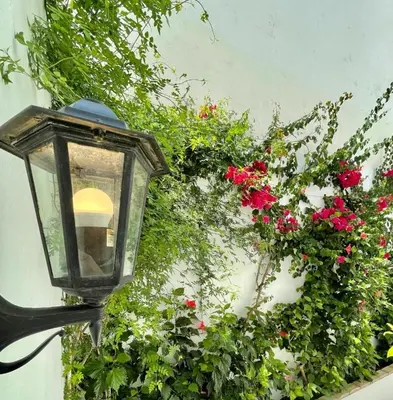 a street light with flowers on a wall at GATU PREMIUM Apartamento Palacio Oneto con Jardín Privado 