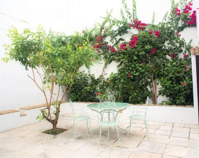 a table and chairs in front of a wall with roses at GATU PREMIUM Apartamento Palacio Oneto con Jardín Privado 