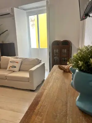 a living room with a couch and a potted plant at Casa de Santa María in El Puerto de Santa María