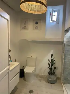 a bathroom with a toilet and a potted plant at Casa de Santa María in El Puerto de Santa María