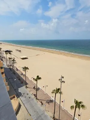a view of a beach with palm trees and the ocean at GATU PREMIUM Villa Turquesa Playa y Parking in Cádiz