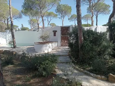 a house with a fence and trees and a driveway at Casa Palmito in Chiclana de la Frontera