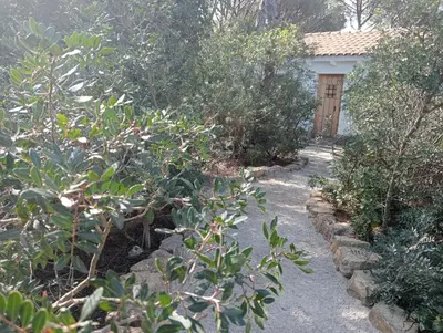 a garden with plants and a house in the background at Casa Palmito 2 in Chiclana de la Frontera