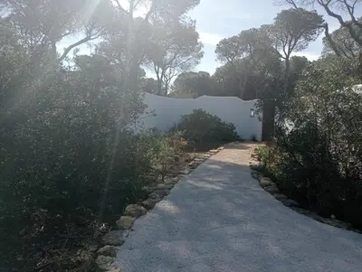 a path leading to a white wall and trees at Casa Palmito 2 in Chiclana de la Frontera
