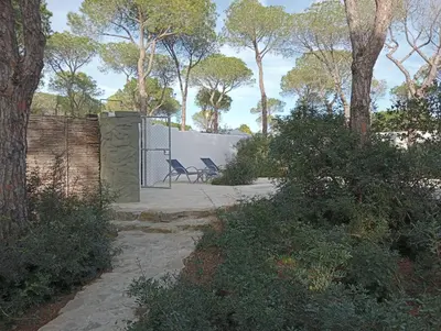 a backyard with two chairs and a fence and trees at Casa Palmito 2 in Chiclana de la Frontera
