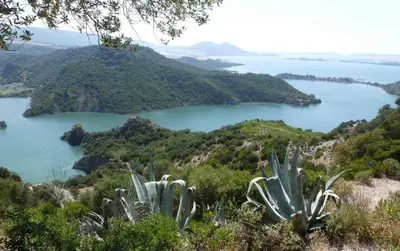 a view of a large body of water with a cactus at Sunny Home pool & Garden in Arcos de la Frontera in Arcos de la Frontera