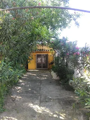 a doorway to a yellow house with trees and flowers at Sunny Home pool & Garden in Arcos de la Frontera in Arcos de la Frontera