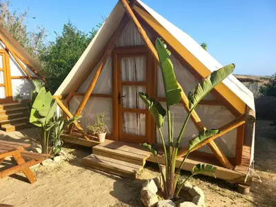 a small house with a plant in front of it at Boho Glamping en Complejo Rural el Mayorazgo in Cádiz