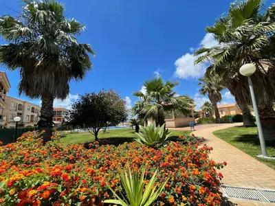a garden with flowers and palm trees in a park at DeCapi House in Sanlúcar de Barrameda