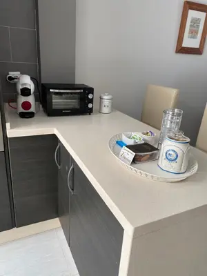 a kitchen counter with a plate of food and a microwave at LAS 7 ESQUINAS in El Puerto de Santa María