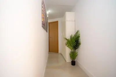 a hallway with a potted plant and a door at MARÍTIMO28 in Cádiz