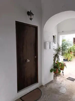 a brown door in a room with a plant at Apartamento 29 in Arcos de la Frontera
