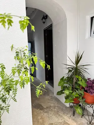 a hallway with potted plants in front of a building at Apartamento 29 in Arcos de la Frontera