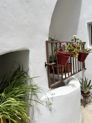 a bunch of potted plants on a wall at Apartamento 29 in Arcos de la Frontera