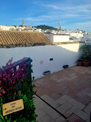a white wall next to a patio with flowers at Casa del Museo - Agua in Medina Sidonia