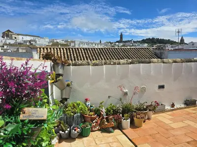a group of potted plants sitting on a patio at Casa del Museo - Agua in Medina Sidonia
