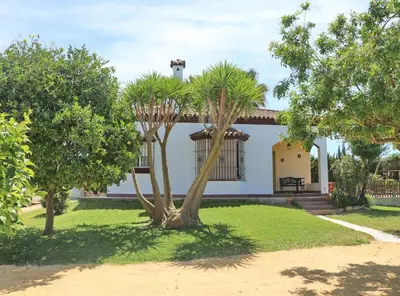 a house with a palm tree in front of it at Casa El Oasis in Conil de la Frontera