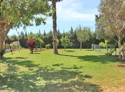 a park with trees and a giraffe in the grass at Casa El Oasis in Conil de la Frontera