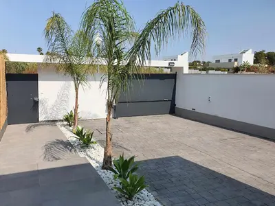 a palm tree in a courtyard next to a building at La Casetta de Conil junto a la playa in Conil de la Frontera