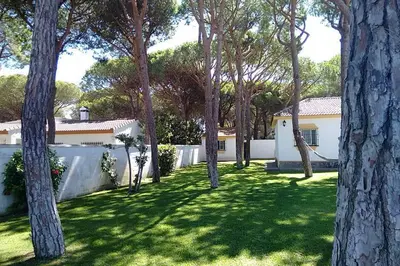 a yard with trees and a fence and a house at La Morena 68 in Chiclana de la Frontera