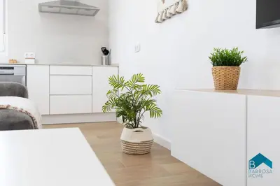 a white kitchen with two potted plants on a counter at Bisonte B in Chiclana de la Frontera