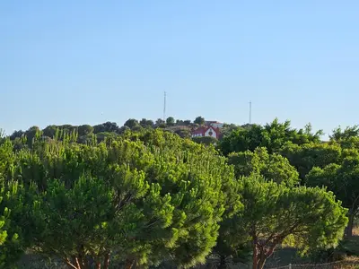 a house on top of a hill with trees at SOL Y PLAYA in San Fernando