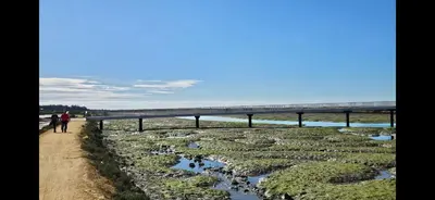 a man walking down a dirt path next to a bridge at SOL Y PLAYA in San Fernando