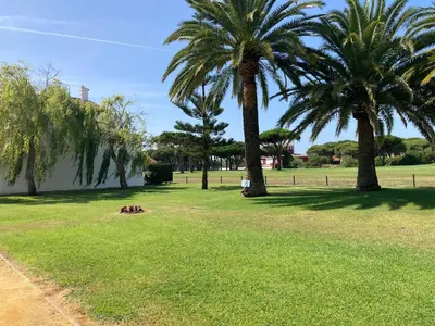 a park with palm trees in the grass at Casa Pio Pio in Novo Sancti Petri